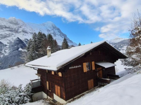 Chalet Grindelwald Gletscher - Boutique Apartment